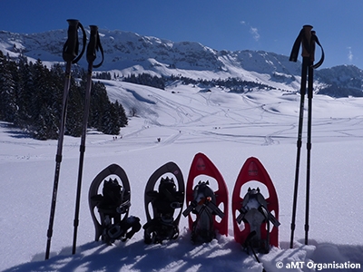 raquettes et bâtons plantés dans la neige face à la montagne