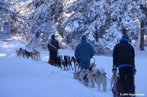 Balade en montagne avec chien