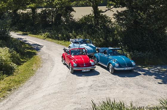 Découverte d'entreprise en voiture Coccinelles