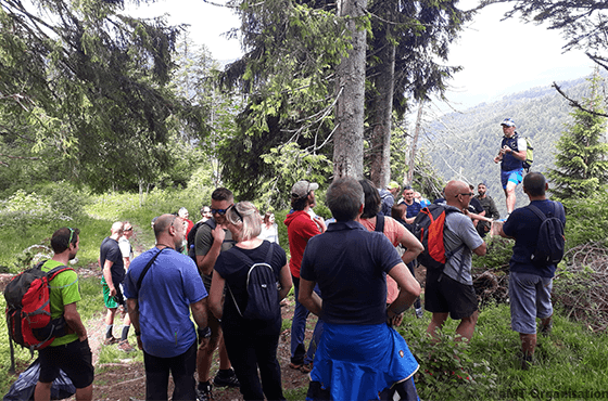 Randonnée dans les montagnes en entreprise