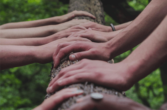 Ecologie mains qui touchent un arbre