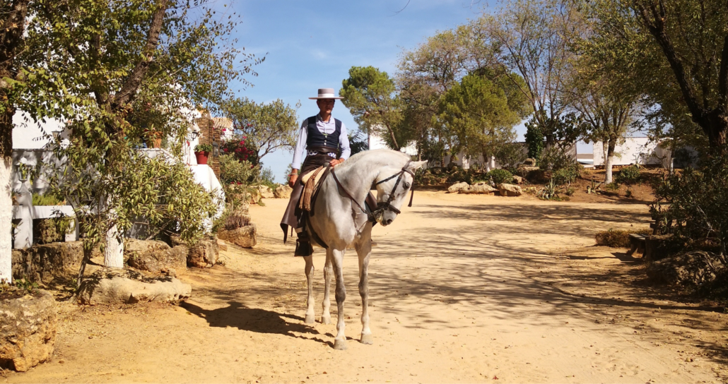 Animation à cheval lors d'un événement d'entreprise à Séville
