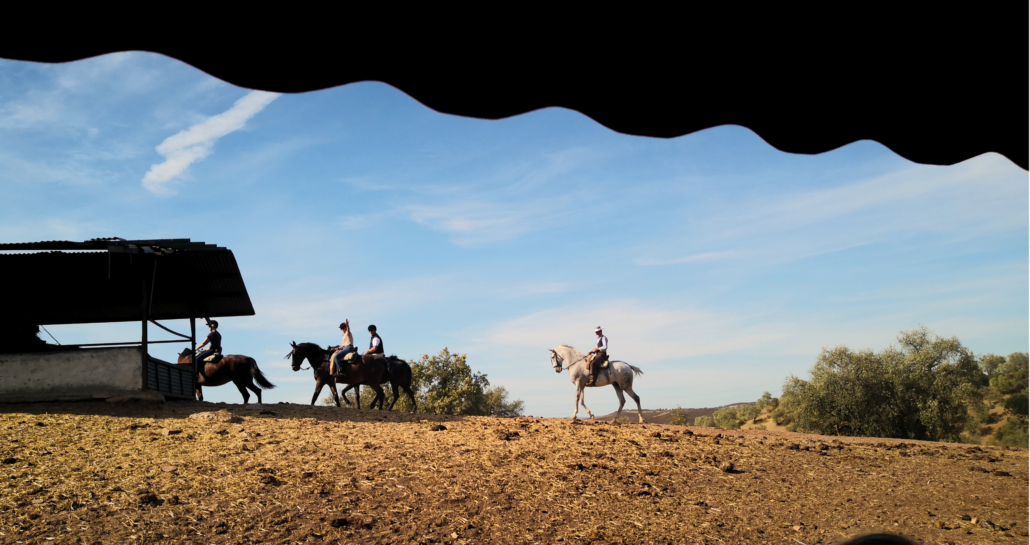 Balade à cheval organisée dans le cadre d'un incentive à Séville