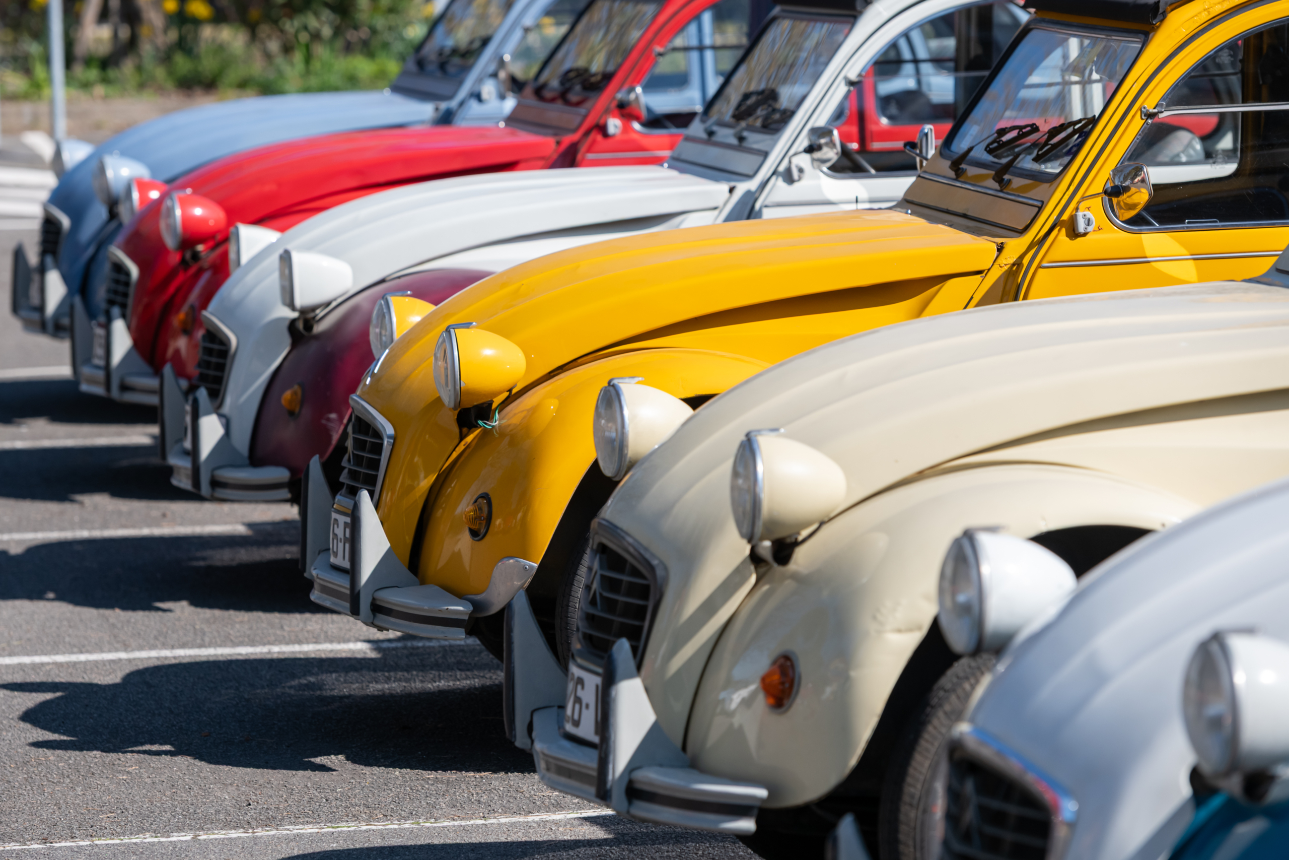 Rangée de Citroën 2CV colorées stationnées avant le départ d'un rallye découverte organisé pour un groupe d'entreprise.